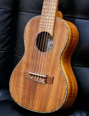 Denver - Guitar Ukulele 2